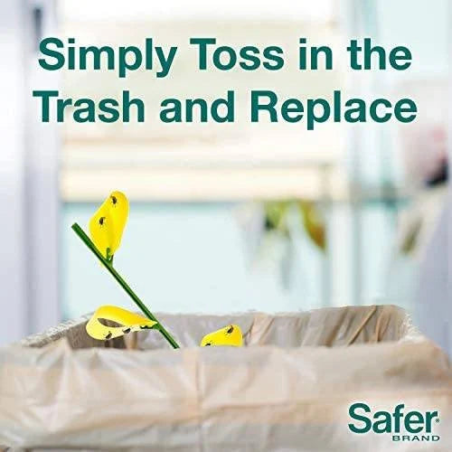 Safer's Houseplant Sticky Stakes Insect Trap (12 Traps)