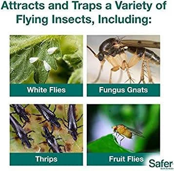 Safer's Houseplant Sticky Stakes Insect Trap (12 Traps)