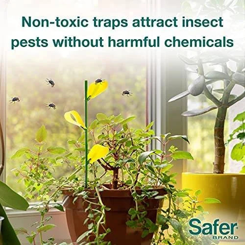 Safer's Houseplant Sticky Stakes Insect Trap (12 Traps)